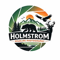 Holmstrom Wildlife Photography